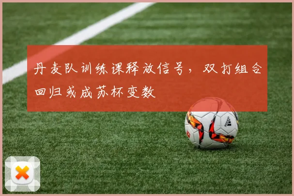 丹麦队训练课释放信号，双打组合回归或成苏杯变数 - 88看球推荐