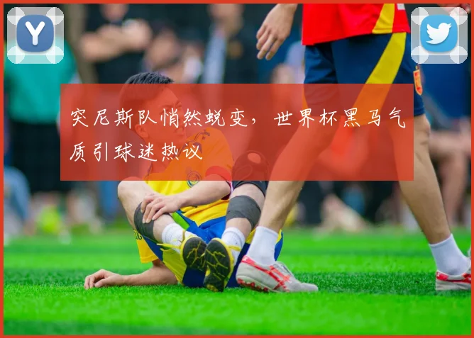 突尼斯队悄然蜕变,世界杯黑马气质引球迷热议 - 88看球推荐